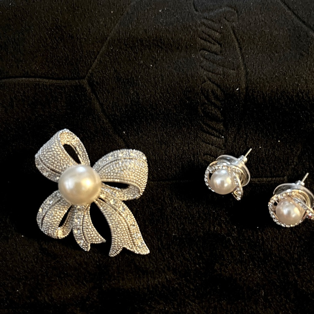 Pin and earring